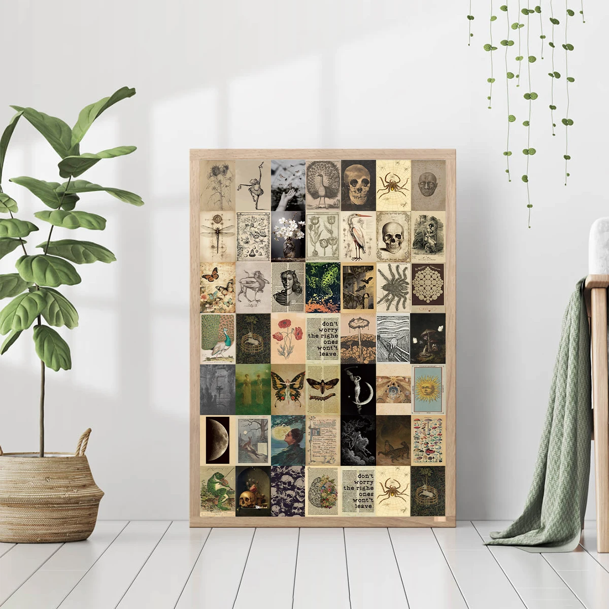50 Stück Vintage Poster Wandcollage Kit Raumdekoration Vintage Ästhetisches Fotocollage Kit Insekt Pflanze Postkarte Halloween Dekoration – Detail 8