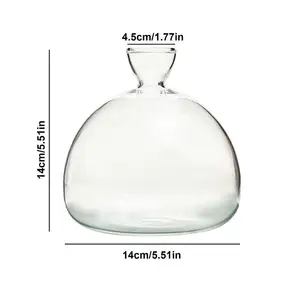 مزهرية زجاجية نباتية مع ملصقات ، مقبلات بذور الأفوكادو ، مجموعة نمو ، عشاق البستنة ، هدية أفضل 6 مزهريات مقبرة للمبيعات - رقم 4