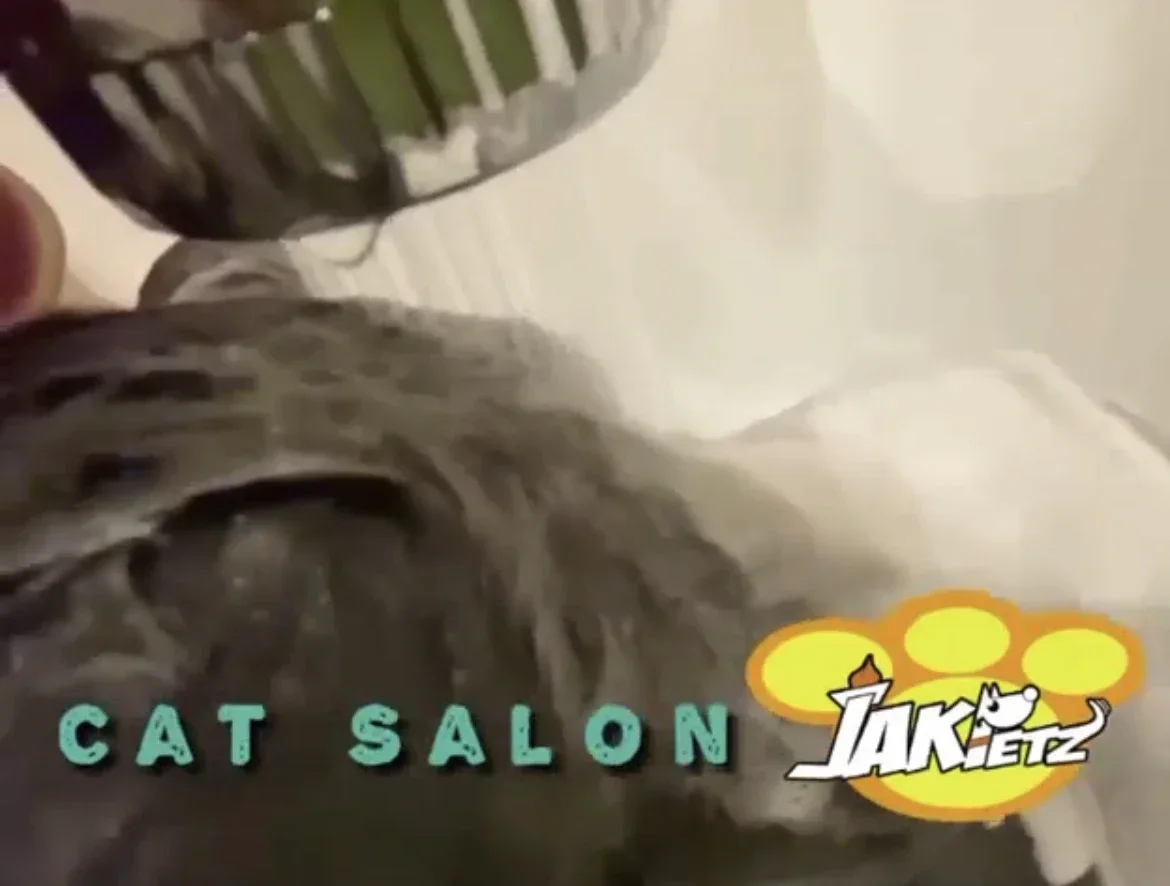 

Pet Shampoo Machine Dog Wash Station Automatic Pet Washer Cat Bathing Machine Pet Cleaning System Self-Serve Dog Wash