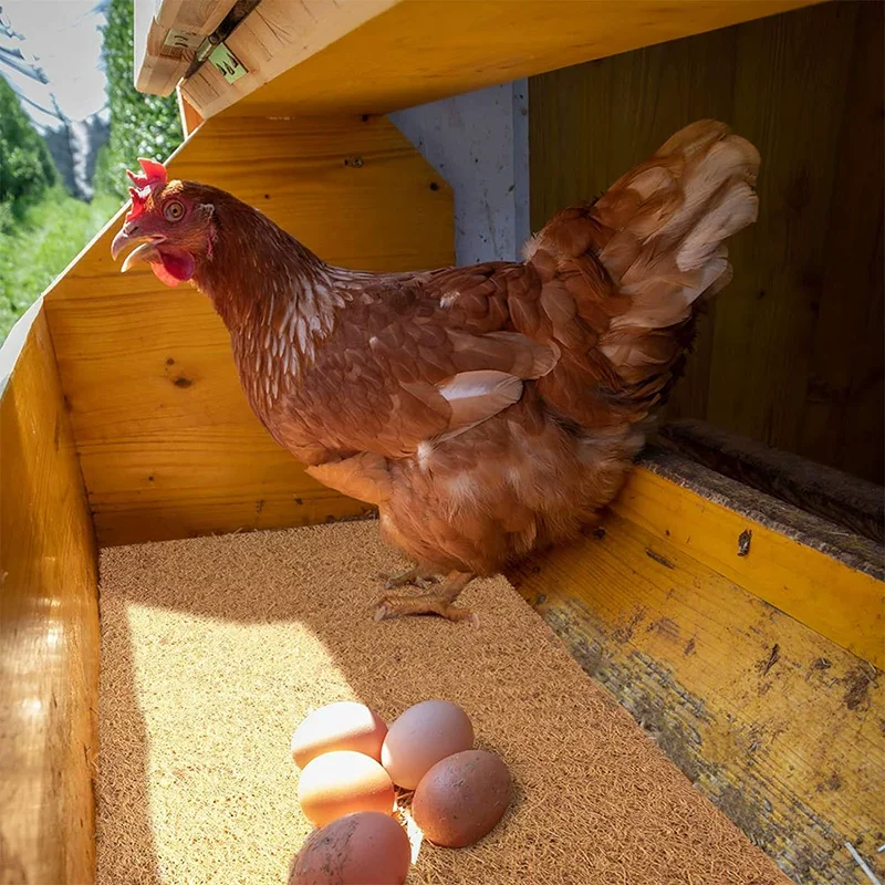 Eco-Friendly Reusable Chicken Nesting Pads Coconut Coir Palm Fiber Durable Hens Bedding Mats For Egg Laying Poultry Coop