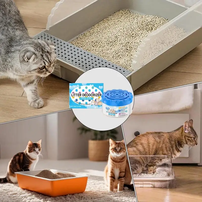 Cat Deodorizer For Litter Box Odor Eliminator Litterbox Deodorizer Cat Litter Scent Deodorizer Smell Eliminator Odor Absorber