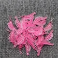 1000Pcs Clear Pink