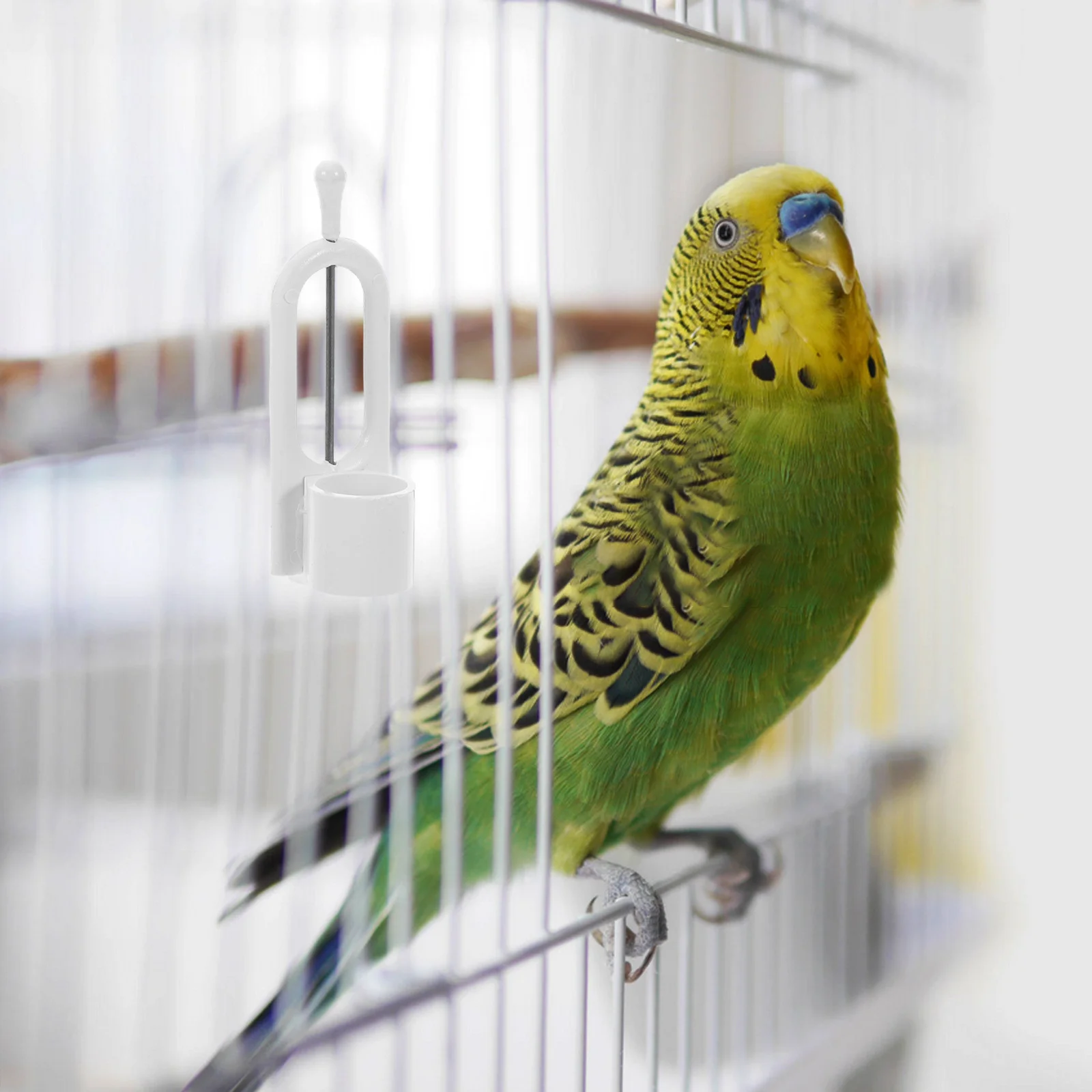 

Bird Cage Accessory ABS Bird Food Holder Parakeet Hanging Feeder for Small Birds Pupae Feeding Skewer Treat Basket