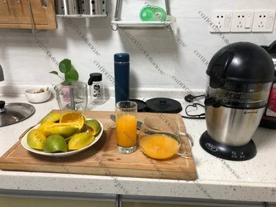 Commercial Electric Citrus Juicer, Fresh Orange & Lemon Squeezer for Stand & Street Vending, High Output