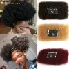 Rebecca Brazilian Remy Hair Afro kinky Curly Bulk Human Hair For Braiding 1 Bundle 50g/pc Natural Color Braids Hair No Weft