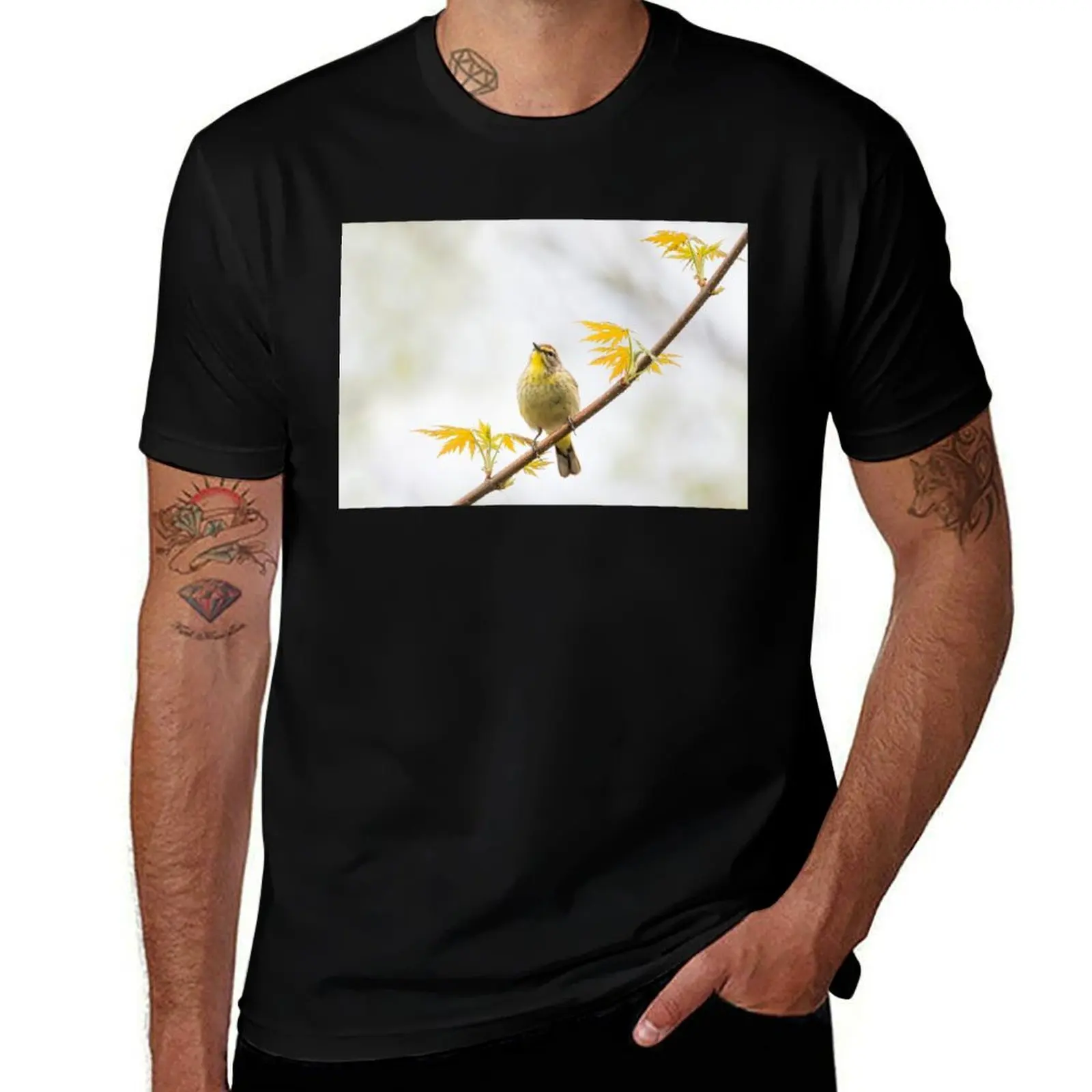 

Palm Warbler in Spring T-Shirt korean fashion summer 2025 baggy shirts croswit shirt man vintage t shirt men