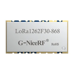 2pc/lot lora1262F30 868MHz SX1262 33dBm -148dBm TCXO High Sensitivity low current 2W SPI port Lora Module