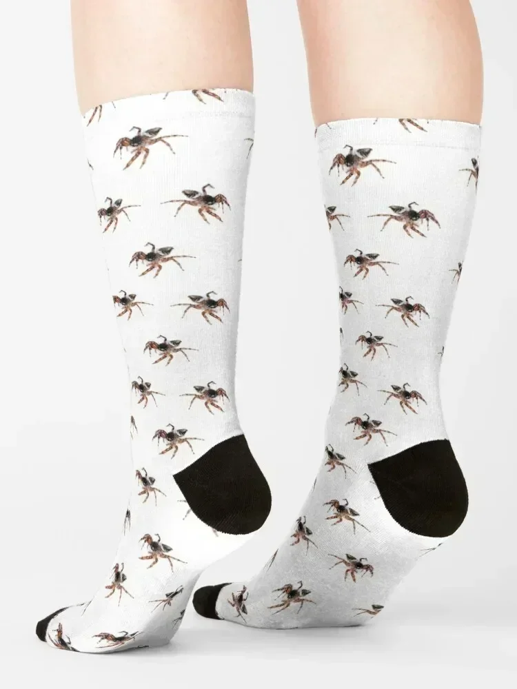 Jumping Spider Socks cotton luxe Soccer summer Socks For Girls Men's