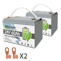 24V Lithium iron Phosphate Battery 60Ah 100Ah LiFePO4 Battery For RV Solar Energy Scooter Tricycle Boat Built-in BMS 10A Charger