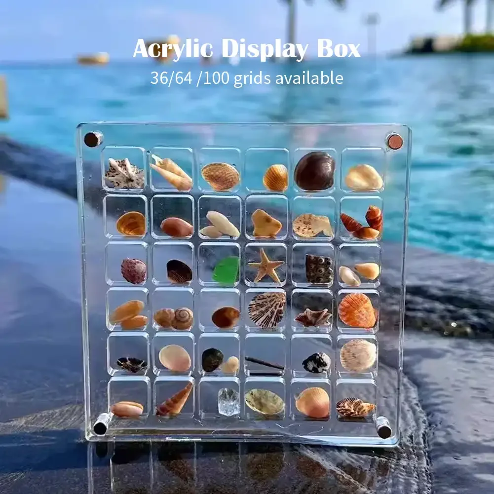 36/64/100 Grids Acrylic Magnetic Seashell Display Box Seashell Clear Starfish Trinket Organizers Mini Seashell Storage Box