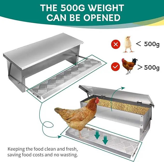 Automatic Chicken Feeder No Waste Treadle 11lb Stainless Steel Poultry Feeder with Weatherproof Lid for Chicken Pheasants Ducks