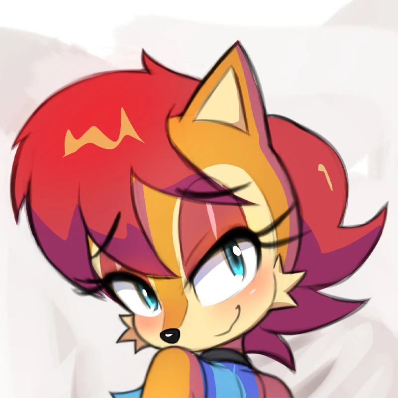 Dakimakura Anime Sally Acorn Double-sided Print 2WAY Tricot Life-size Body Pillow Cover Pillowcase Custom print