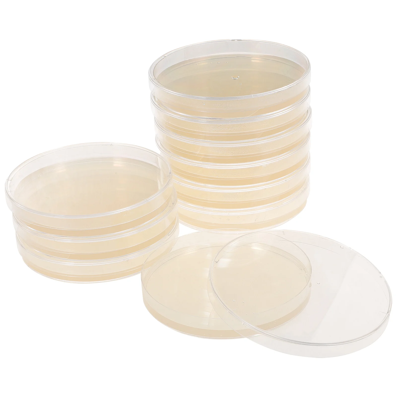 

10 Pcs Agar Plates Nutrient Petri Dishes for Lab Biology Research Science Experiment Supplies Projects