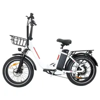 BAOLUJIE DZ2030 Electric Bike 20*4.0 Inch Fat Tire E-Bike 500W Motor 48V 13Ah 40km/h Max Speed 35-45km Range Disc Brake