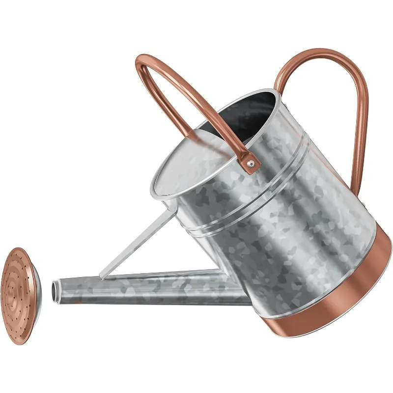 

1-галлонная лейка для уличных растений - металлическая лейка для уличных растений, лейка для домашних растений с посыпанной головкой