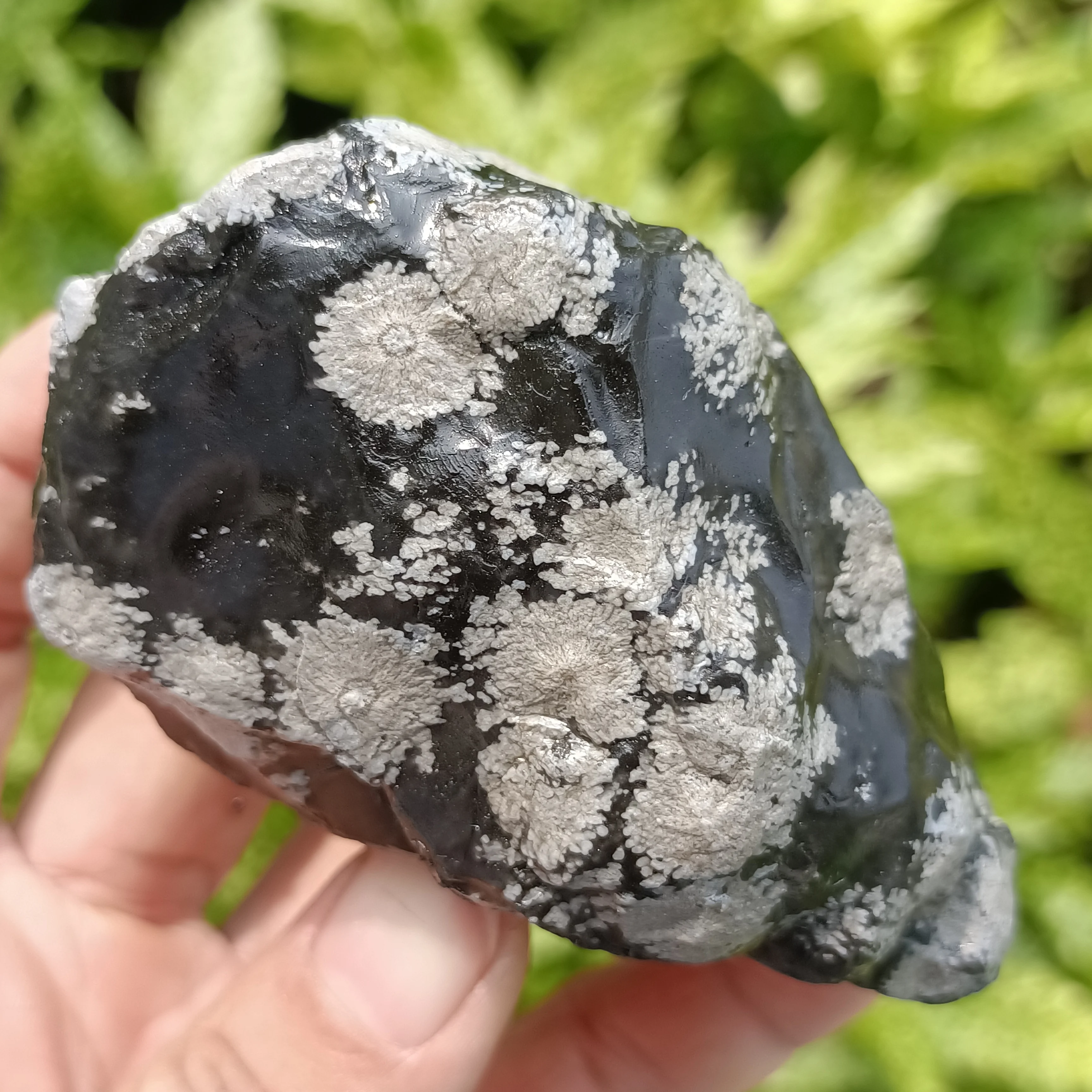 

Natural Black Snowflake Stone Raw Stone, Quartz Crystal, Snowflake Obsidian Rough Ore, Mineral Healing