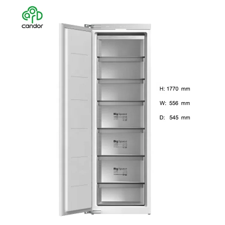 Freezer dan freezer rumah tangga besar, kustomisasi seluruh rumah 276L/308L