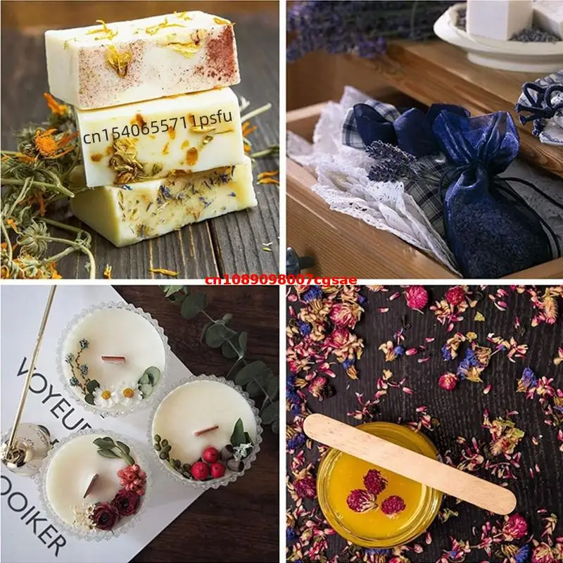 Fleurs séchées de Gomphrena na - Candle Making And Perfume avis et prix