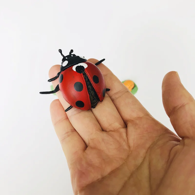 ชุดของเล่นการเรียนรู้ชีวิตวงจรของเต่าทองพร้อมการ์ดฝึกทักษะการเรียนรู้และรูปแบบต่างๆ วัสดุชิ้นงานชีววิทยาแบบมอนเตสซอรี่ เกมการศึกษาสำหรับเด็ก