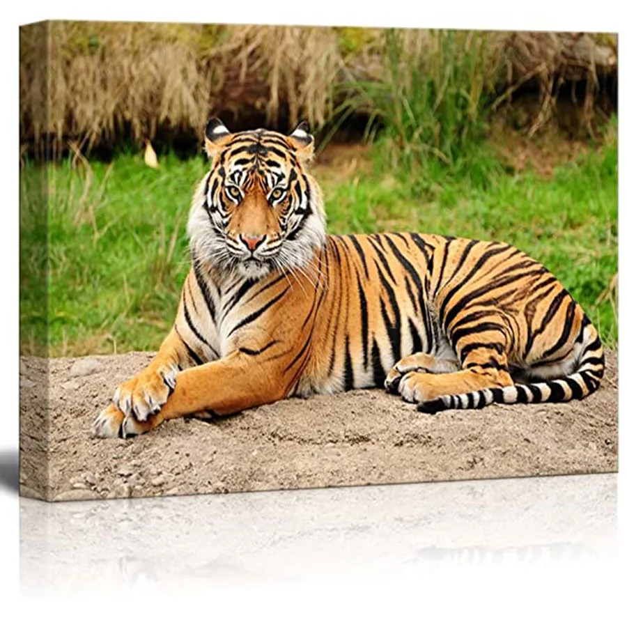 Diamond Painting of Royal Bengal Tiger, Animal Cross Stitch, Full Square Round Drill, 5D Jigsaw Puzzle, Home Decor