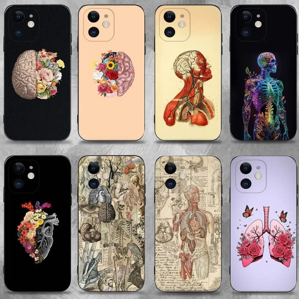 

Human Anatomy Medical Phone Case For iPhone 16,15,14,13,12,11 Plus,Pro Max,XS,X,XR,SE,Mini,8,7,Soft Silicone Black Cover
