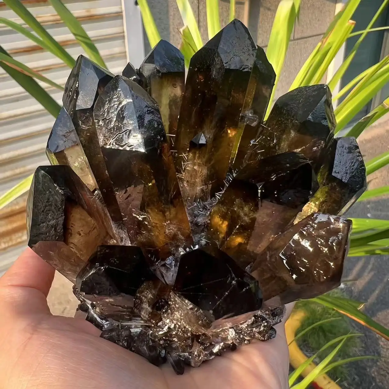 

770g Natural Smoky Black Quartz Cluster Crystal Specimen Healing