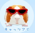 Cat Eye glasses
