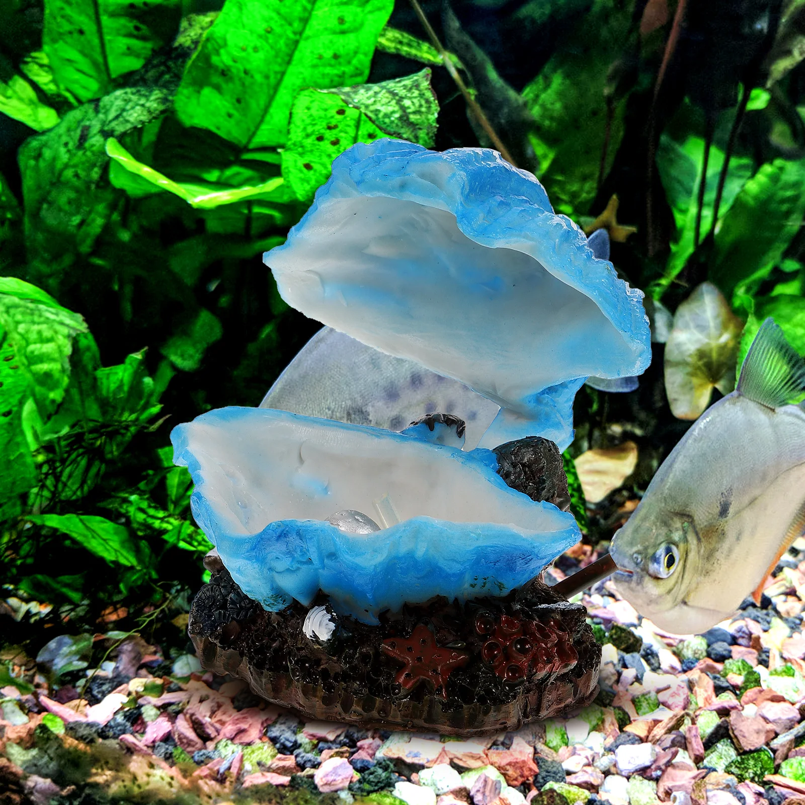 

Triangular Resin Craft Durable Vivid Fish Tank Aquarium Decoration Ocean Diorama Supplies Pet Accessories