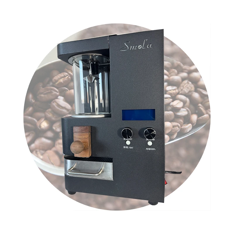Adjustable Temperature Electric Coffee Roaster Machine Hot Air Coffee Bean Roaster