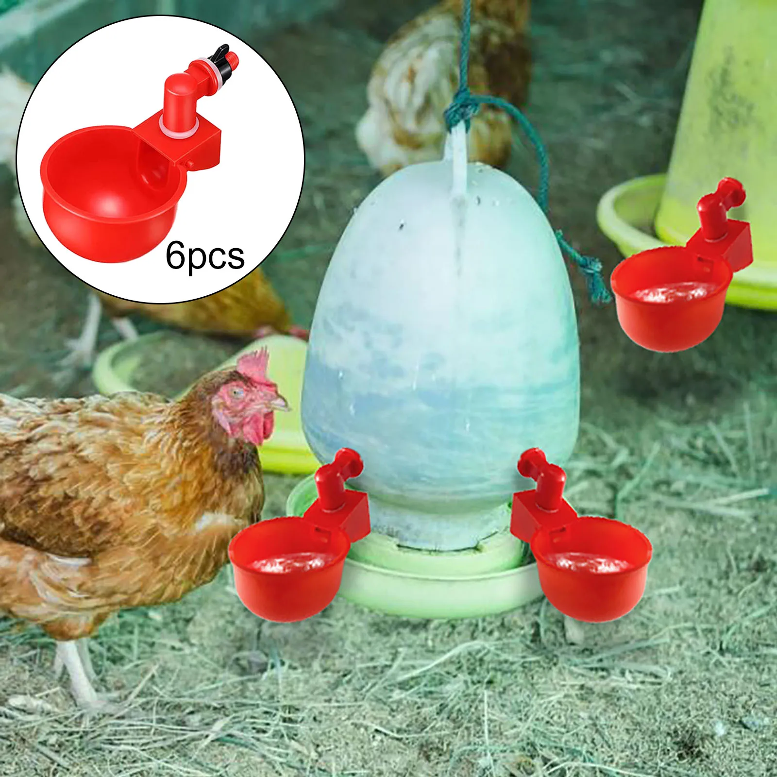 6pcs Automatic Chicken Drinking Cup Plastic Poultry Waterer Drinking Water Feeder for Chicks Duck Goose Quail Poultry Supplies