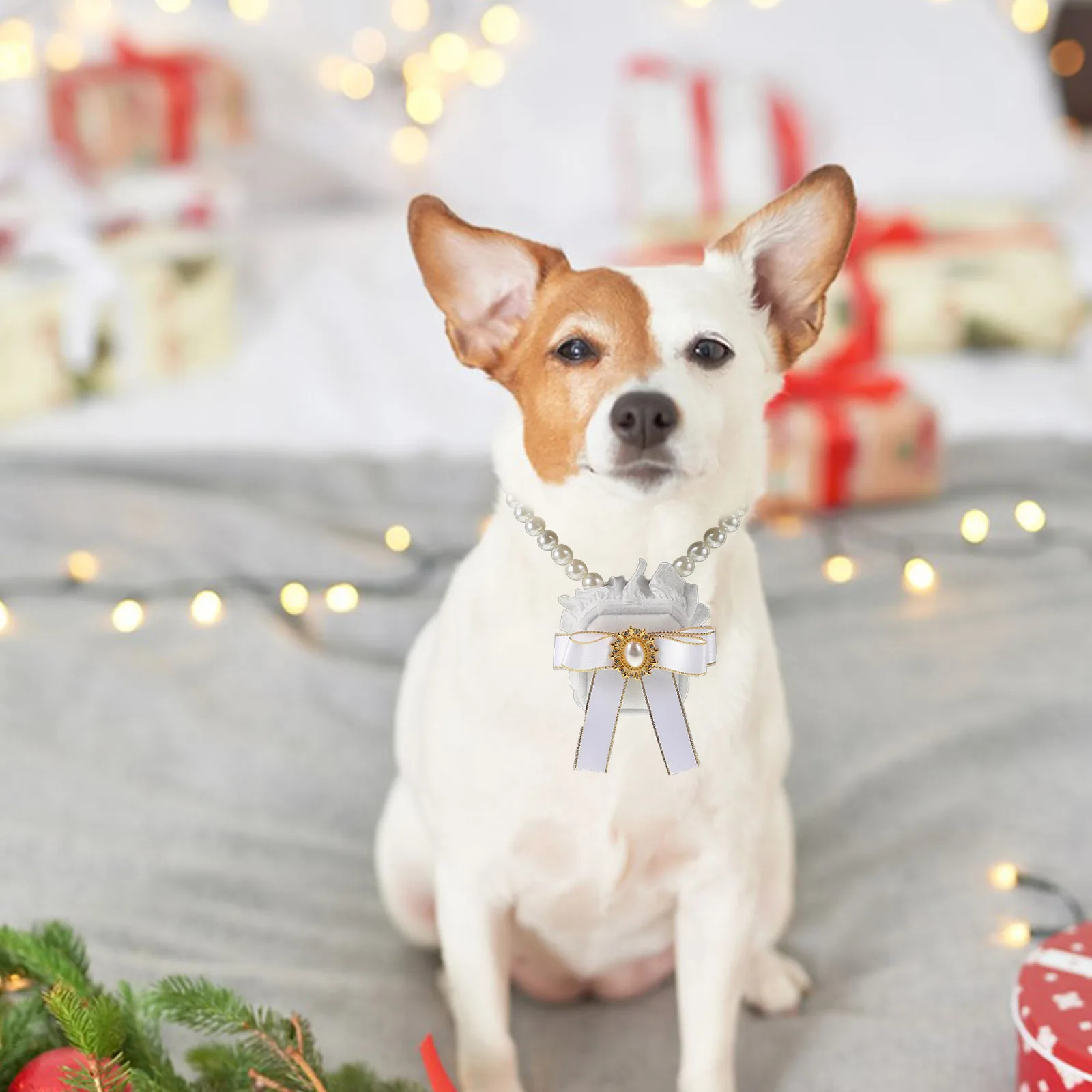 

Pet Wedding Accessories Elegant Ring Box For Bride Dog With Soft Inner Storage Container Valentine Jewelry Packaging