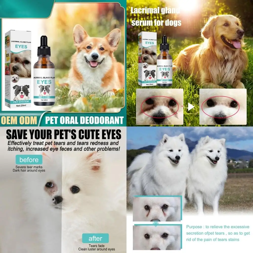 

Eye Cleaner for Dogs Safe Pet Eyes Wash Drops for Infections & Tear Stain Remover Easy to Use Dropper Bottle 20ml high quality