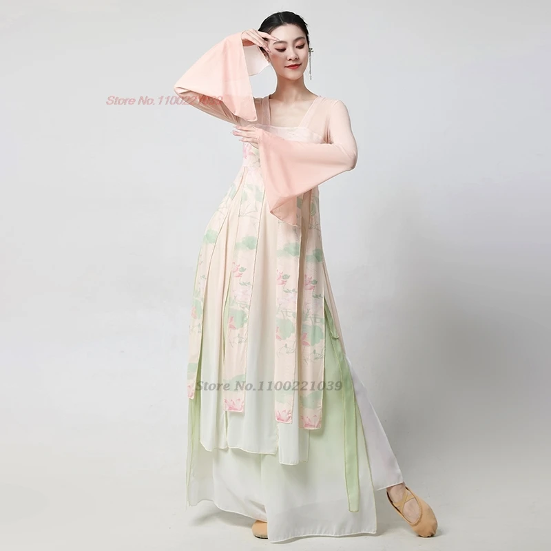 2025 중국 빈티지 민속 무용 의상 꽃 프린트 메쉬 hanfu 탑 + 바지 세트 빈티지 쉬폰 드레스 무대 공연 댄스 세트