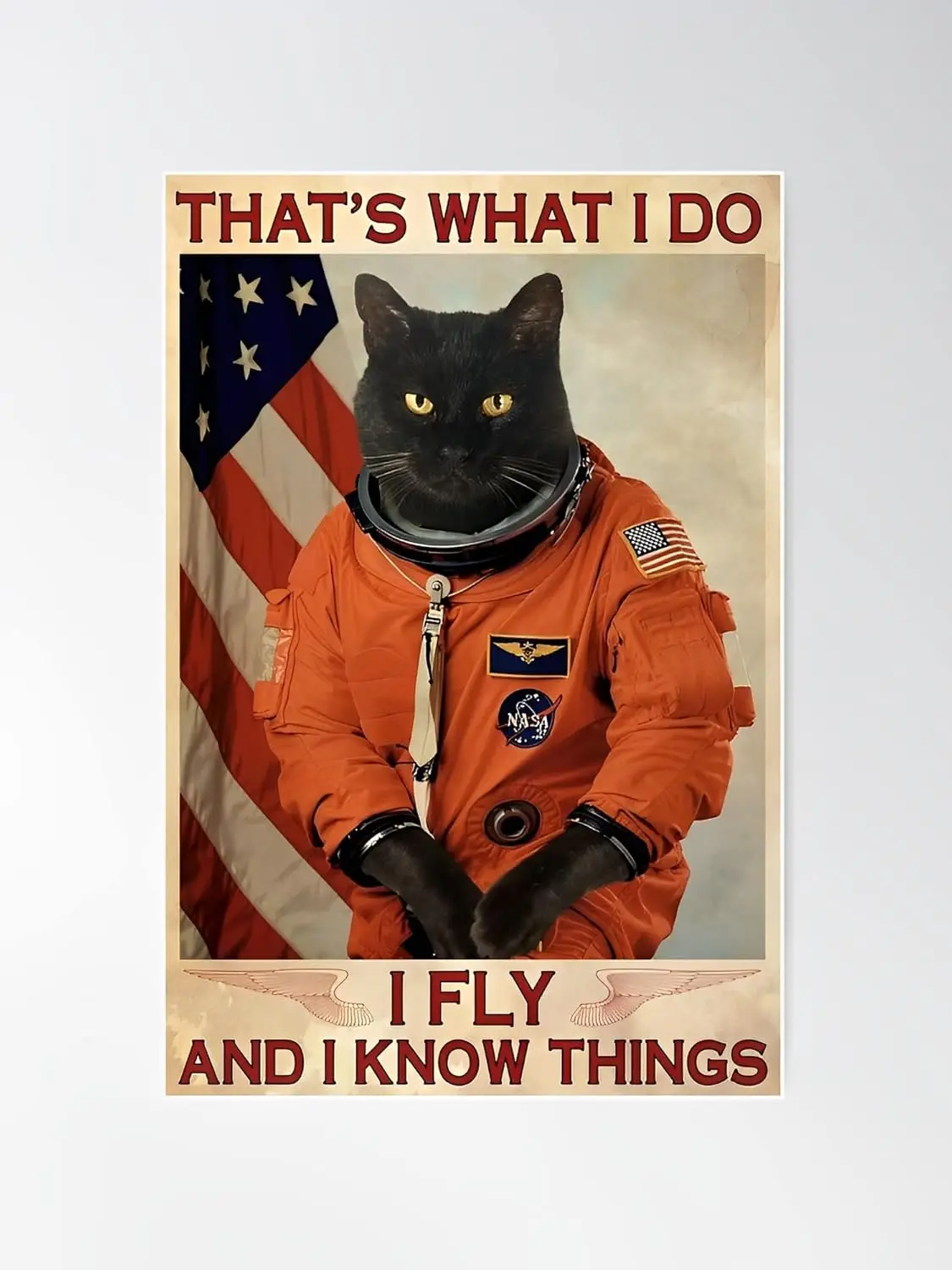Black Cat Remember That;s What I DO I Fly and I Know Things Vintage Style Rusty Look Plaque for Bar Home Garage Man Cave Wall De