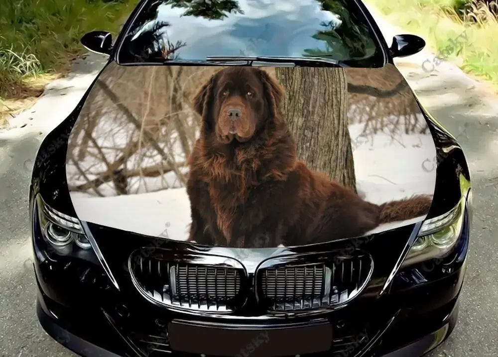

Leonberger Dog Car Hood Vinyl Stickers Wrap Vinyl Film Engine Cover Decals Sticker Universal Car Hood Cover Film