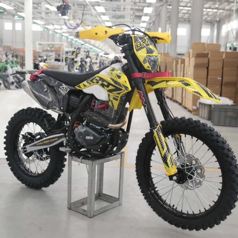

300CC4 Stroke Two-Wheel Off-Road Motorcycle Adult Lindway