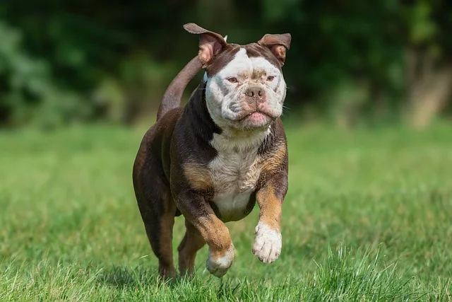 

4Pcs CNC Wheel Tires 1.9inch/2.2inch for 1/10 1/8 RC Car Axial SCX10 D90 TRX4 Capra Wraith Monster Truck Upgrade Parts