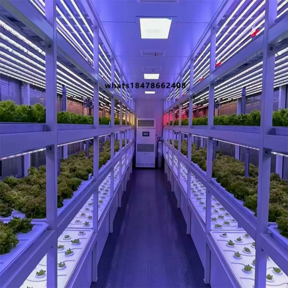 Leafy Vegetable Container Farm: Intelligent Vertical Planting System with Automated LED & DWC Hydroponics