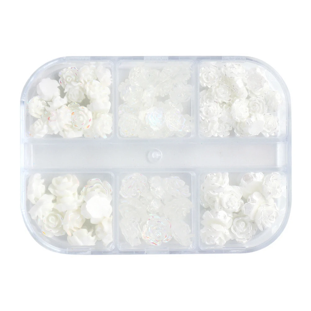 

Floral Nail Art Accessories 2 Boxes Resin Flower Charms Manicure Decors 3D DIY Nail Flowers for Nails Art Supplies
