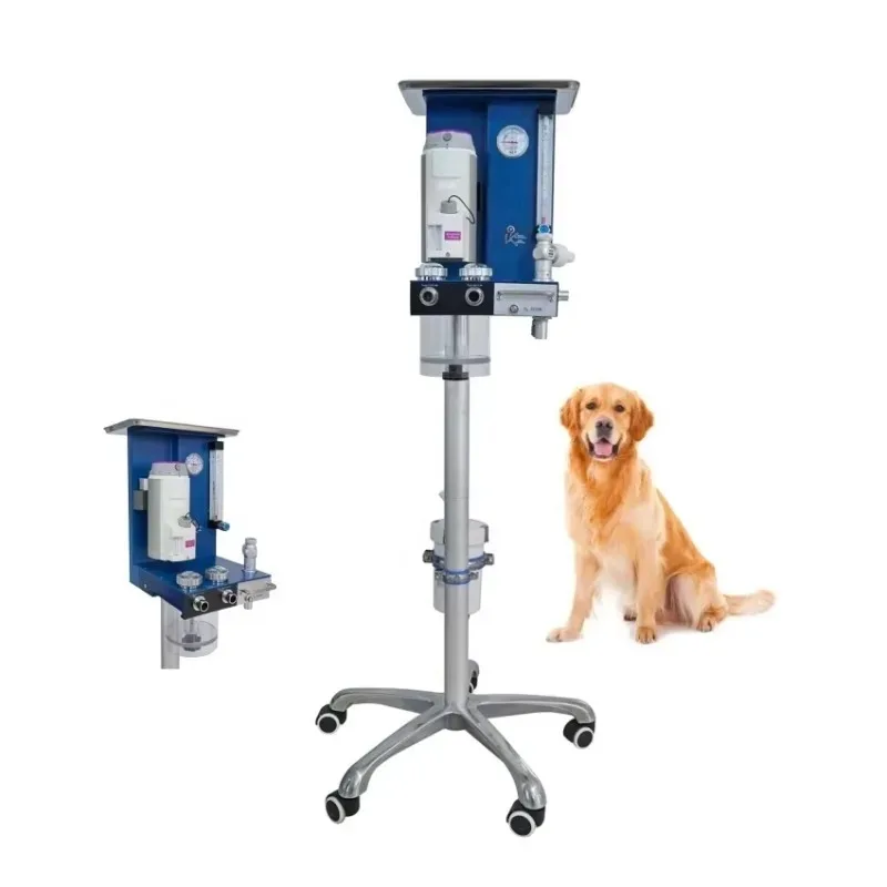 Advanced Multi-Function Veterinary Anesthesia Machine Cost-Effective Surgical Instrument Equipment