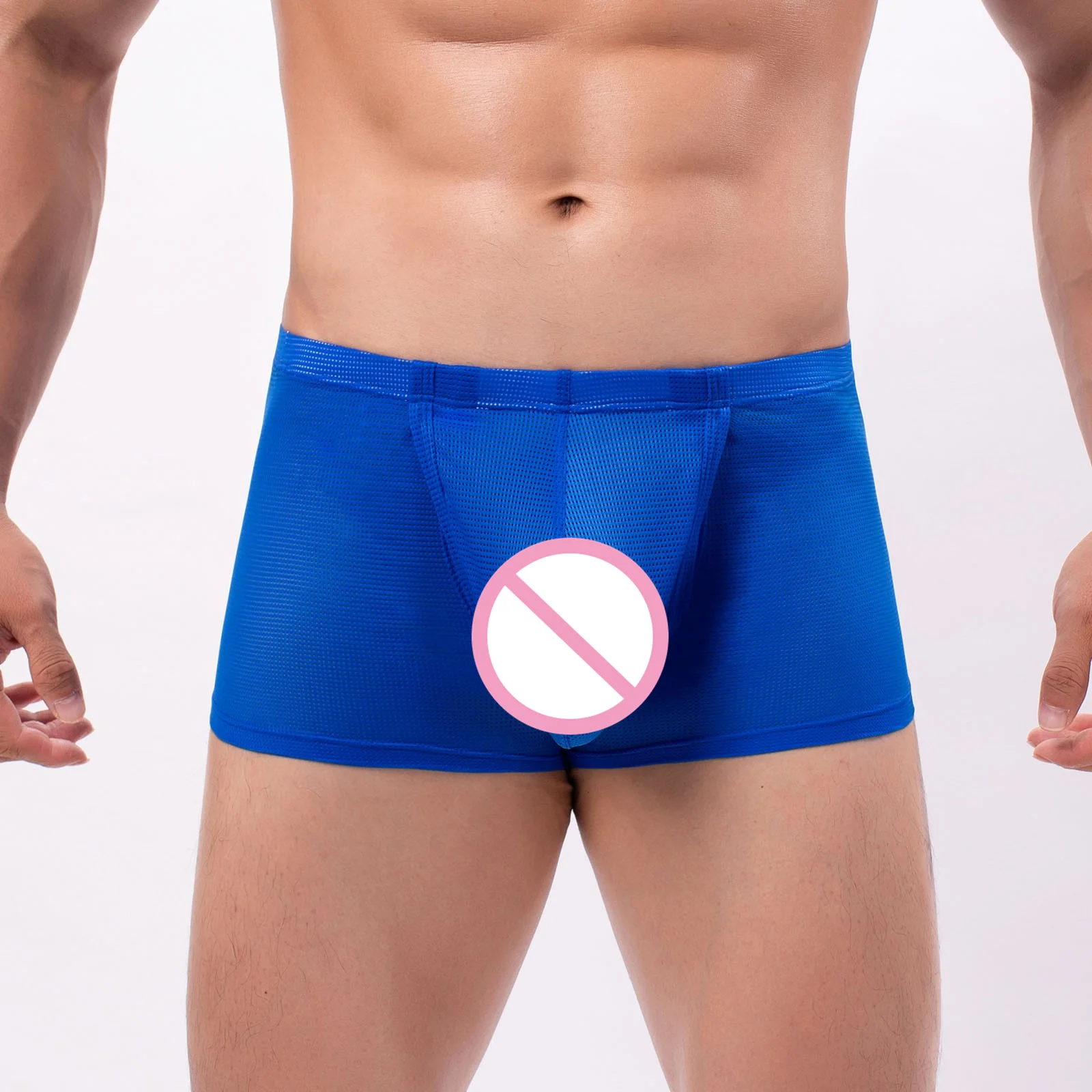 Sexy Mesh Sheer Boxers Men Seamless Solid Color Transparent Briefs Thongs Elastic Intimates Penis Pouch Boxershorts Intimates