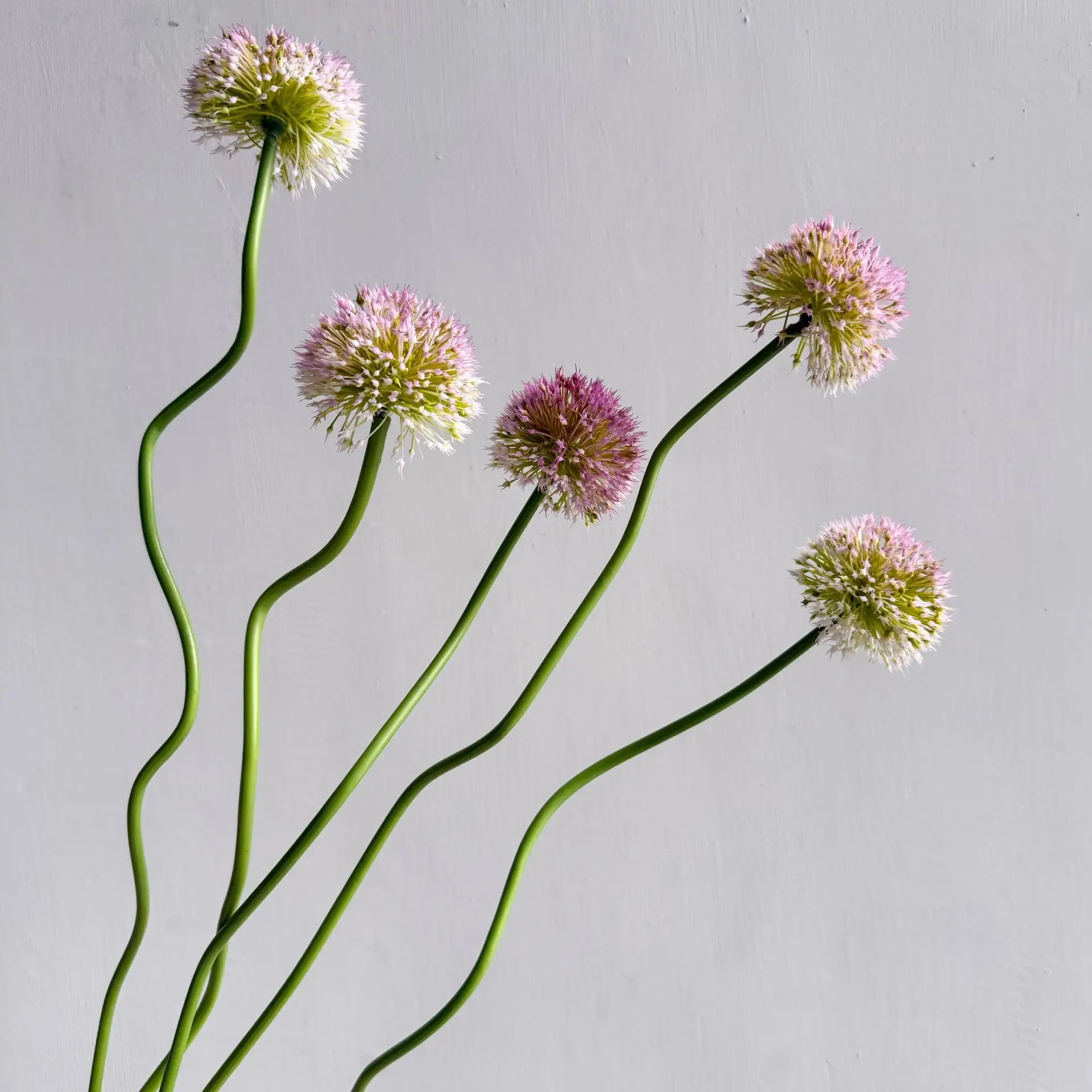 5 unidades de bolas de cebolla artificiales, flores de plástico, accesorios para ramo de novia, arreglo floral para boda, decoración para el hogar, decoración floral para fiestas