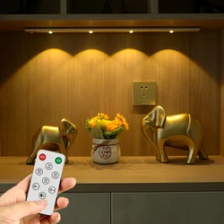 Ultra thin 3 Colors PIR Motion Sensor Cabinet Lamp 20/30/40CM LED Lights USB Recharge Kitchen Night Lamp with Remote Control