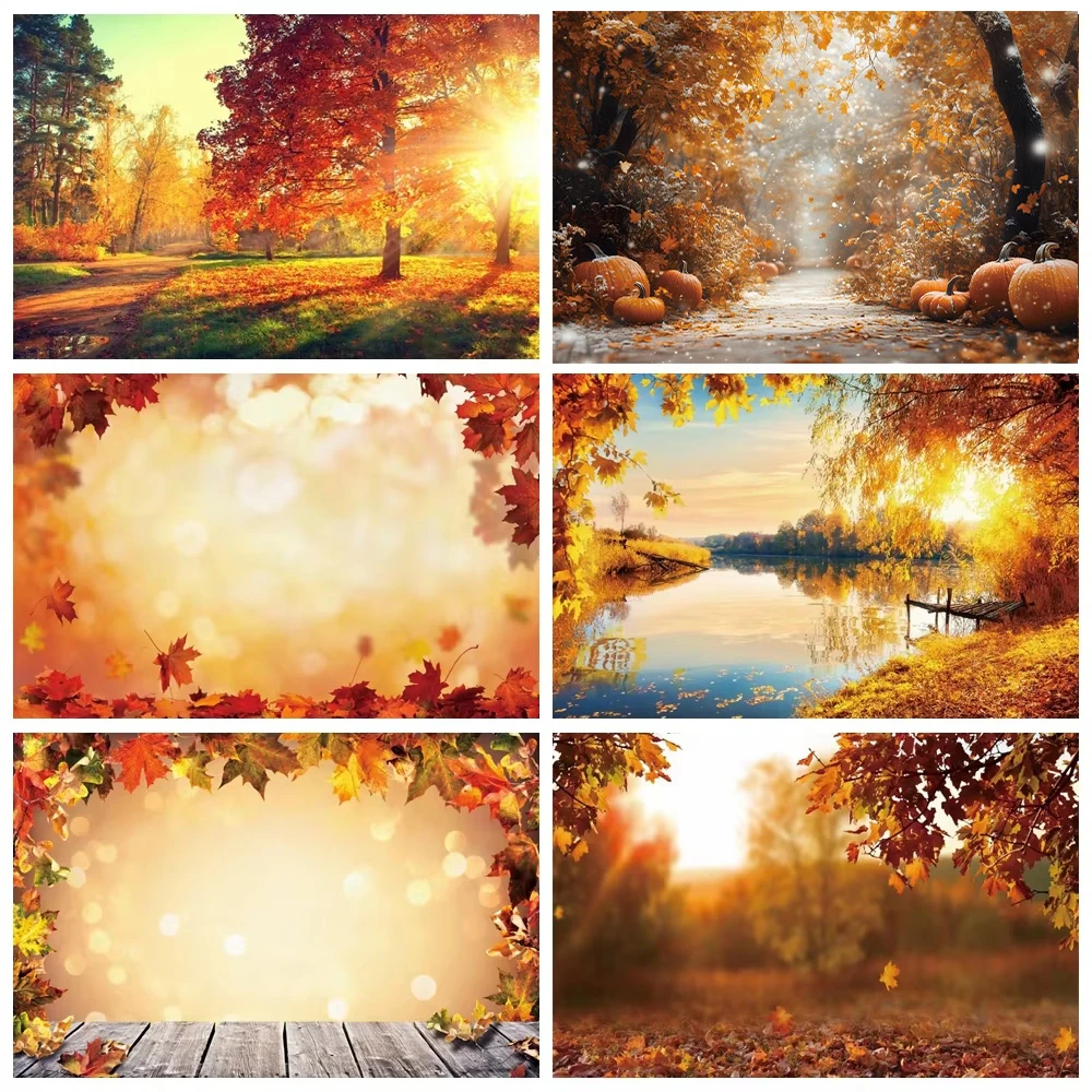 

Laeacco Autumn Backgrounds For Photography Fallen Leaves Maples Light Bokeh Sunshine Baby Portrait Birthday Photo Backdrop