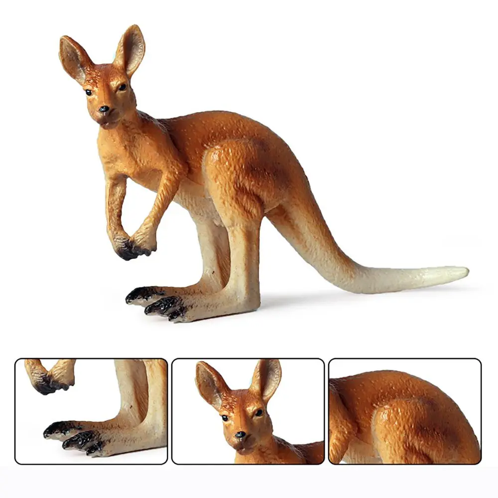Regalo juguetes de enseñanza ciencia y naturaleza simulación Animal salvaje Roo Cub estatuilla realista modelo de canguro escenas del zoológico