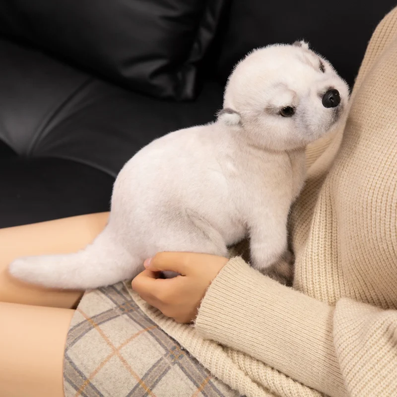 ตุ๊กตาหมีน้ำ 3 สี ขนาด 38 ซม. ของเล่นตุ๊กตาสัตว์การ์ตูนนุ่มนิ่ม หมอนตุ๊กตาหมีน้ำยุโรป-เอเชีย