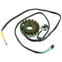 DC 18 Coils Magneto Stator For loncin CB250 Water Cooled 250CC Engine Dirt Pit Bike ATV Kayo BSE