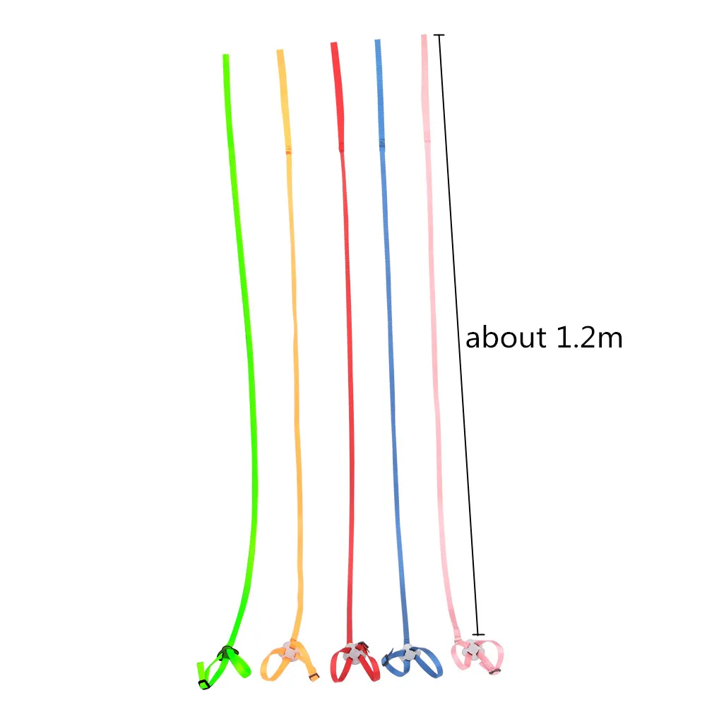 Parrot Harness Traction Rope Reptile Outdoor Safety Belt 5 Color Belt Gerbil Lizard Anti-bite Multi-color Light Traction Rope