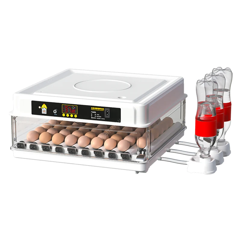 Small household automatic intelligent mini bird egg incubator rutin chicken incubator