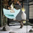 double chastity cage